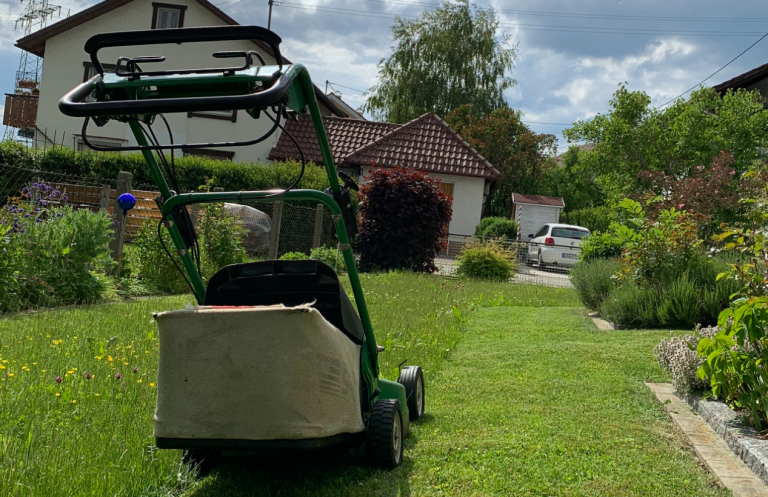 Rasenschnitt, Rasenmäher im Privatgarten mit Rasenmäher oder Rasentraktor